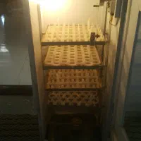 دستگاه جوجه کشی|لوازم جانبی حیوانات|آشخانه, |دیوار