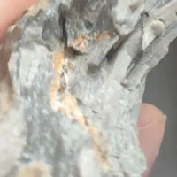 فسیل قدیمی|کلکسیون اشیاء عتیقه|ایلام, |دیوار