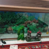 اکواریوم همراه با وسایل