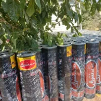 ایزوگام با کیفیت،امنیت خانه شما را تضمین میکند|عمده‌فروشی|شیراز, گویم|دیوار