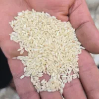 برنج درجه یک عنبربو|خوردنی و آشامیدنی|شوشتر, |دیوار