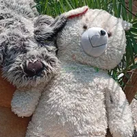 عروسک خرس بزرگ