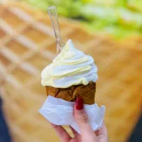 شاگرد خانوم یا آقا برای بستنی فروشی