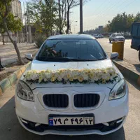 ماشین عروس گلارایی طبیعی1500|خدمات پذیرایی، مراسم|مشهد, ایثارگران|دیوار