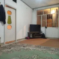 به یک همخونه سالم نیازمندم