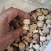 خراطی بالای درب بانکه