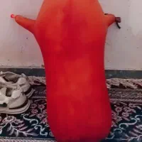 پوست دسته