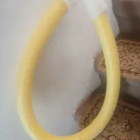 نودل شنا