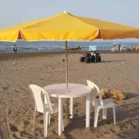 عرضه چتر گرد ضد آب و پارچه ای بهترین کیفیت|مصالح و تجهیزات ساختمان|تهران, جوادیه|دیوار