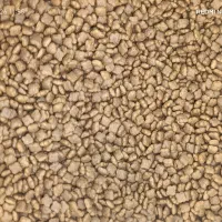 غذا مخصوص گربه وارداتی