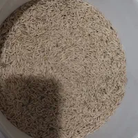 فروش کاه جو وعدس وعلف