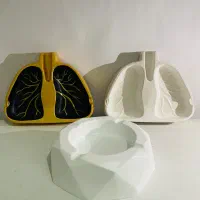 زیر سیگاری ریه و چند ضلعی