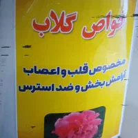 عرقیات و خیارشور خانگی|خوردنی و آشامیدنی|شیراز, گلشن|دیوار