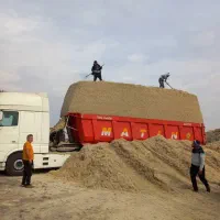 کاه|خدمات باغبانی و درختکاری|کارون, |دیوار