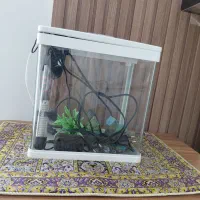 آکواریوم شرکتی