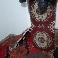 فرش دستبافت قدیمی|فرش|ورامین, ورامین|دیوار