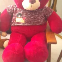 دوعدد عروسک سالم|اسباب‌‌بازی|بوئین زهرا, |دیوار