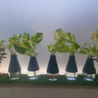 بطری شیشه ای به همراه گل