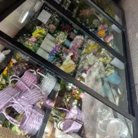 ویترین  یا اتاقک سرد خونه گلفروشی