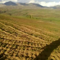 زمین کشاورزی|فروش دفتر صنعتی، کشاورزی، تجاری|خلخال, |دیوار