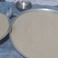 بذر توم|گل و گیاه طبیعی|کوهدشت, |دیوار