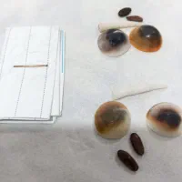 مهره اصل وارداتی نایاب