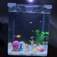 فروش آکواریوم به همراه ماهی