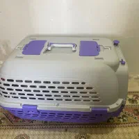 سگ شیتزو|سگ|زنجان, |دیوار