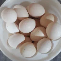 تخم مرغ محلی نطفه دار