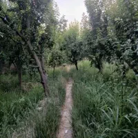 باغ-خام-1200متردرمیدان-نماز-شهریار