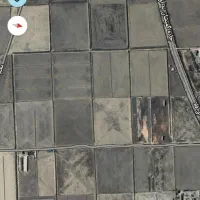 فروش زمین کشاورزی|فروش دفتر صنعتی، کشاورزی، تجاری|گمیشان, |دیوار