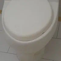 توالت فرنگی