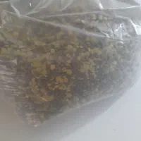 عدس بوجاری شده تمیز(عکس تزئینی میباشد)