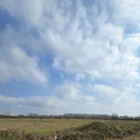 فروش زمین ۴ هکتاری با سند رسمی