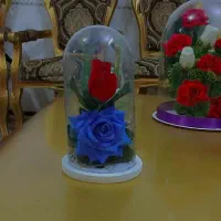 باکس گل هدیه یا خاستگاری|گل مصنوعی|رباطکریم, شترخوار|دیوار