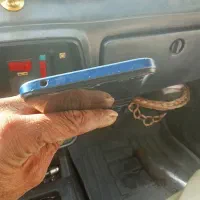 شیاعومیredmi12Cفروش ومعاوضه|موبایل|پاکدشت, پاکدشت (مامازند)|دیوار