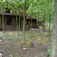 فروش ویلا با جزایر محوطه سازی شده|فروش خانه و ویلا|جهرم, |دیوار