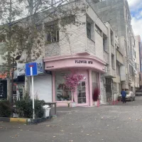 نقاشی حرفه‌ای ما آماده تغییر فضای شماست