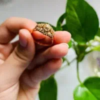 طلاهای بسیار زیبا ویترینی فاکتور دار|جواهرات|یاسوج, |دیوار