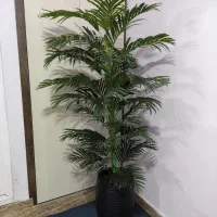 گل ایستاده دو متری کنار سالنی