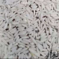 برنج دورود.برنج. سالم.برنج نیمدانه|خوردنی و آشامیدنی|دورود, |دیوار