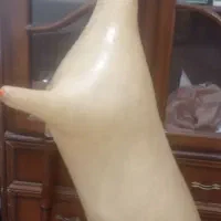 نی انبان کوک 7- بم بم