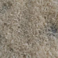 برنج و چلتوک چمپا اردل