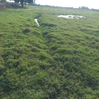 معاوضه خانه مسکونی با باغ ویلا