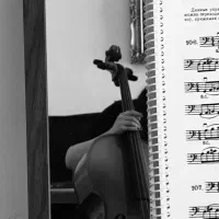 اموزش انلاین ویولن