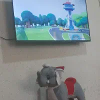 تلویزیون زلموند ۵۵ اینج|تلویزیون و پروژکتور|یاسوج, |دیوار