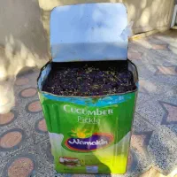 خرمای ظرفی درجه یک