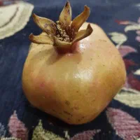 ثبت نام در صرافی میلی