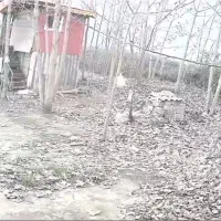زمین با انباری و نگهبانی و یک عدد اتاق خواب