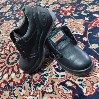 کفش کار|کیف، کفش، کمربند|سبزوار, باهنر|دیوار